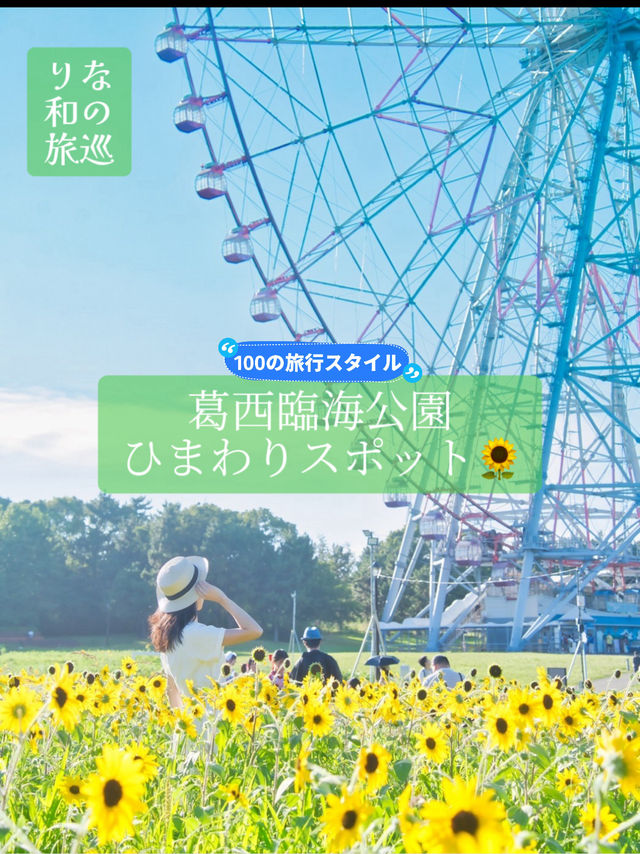 〜東京都〜ライトアップも楽しめるひまわり畑🌻