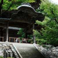 孔大寺神社 ⛩️ 平靜祥和