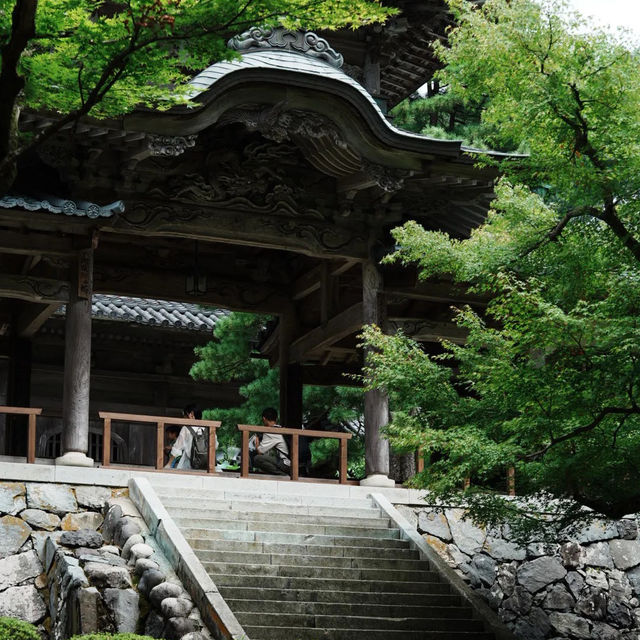 孔大寺神社 ⛩️ 平靜祥和