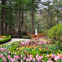 Theme Visit to the Garden of Morning Calm 🇰🇷