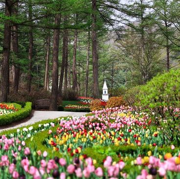 Theme Visit to the Garden of Morning Calm 🇰🇷