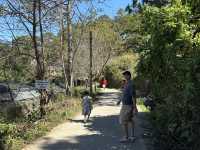 A Fairy Garden: Natureside Cafe Da Lat