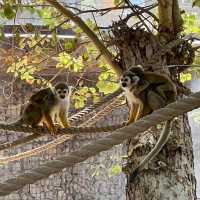 Nice modern zoo