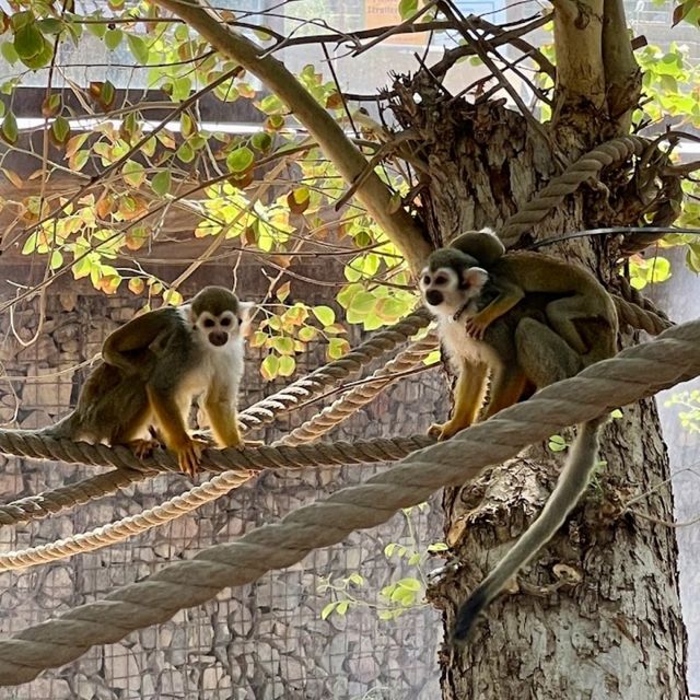 Nice modern zoo