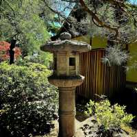 「興德院🏰禪意靜謐智慧」