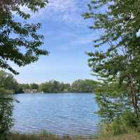 평화로운 Vienenburger See