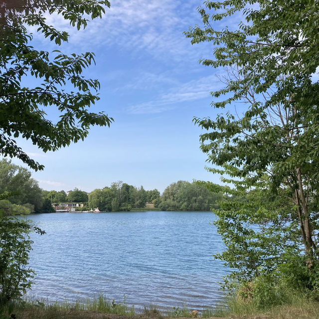 평화로운 Vienenburger See