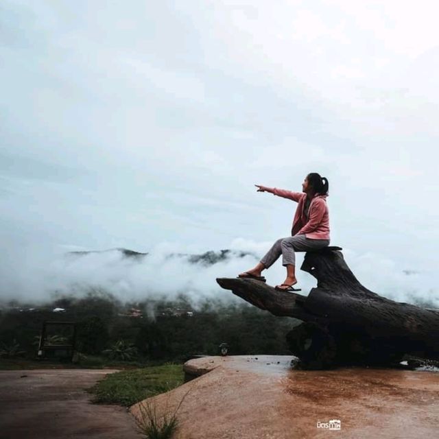 ลานกางเต็นท์วิวเมืองด่านซ้าย ไร่ช่างอุ้ม จ.เลย