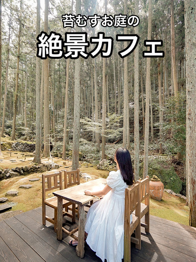 📍ギャラリー喫茶 苔筵