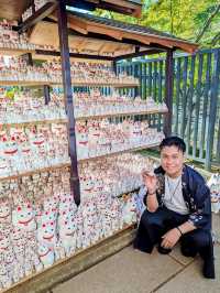 Purr-fect Sanctuary: Discover Japan's Enchanting Cat Temple🐱🕍