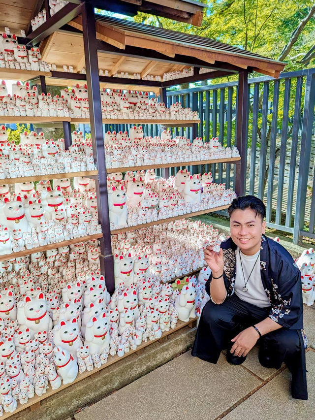 Purr-fect Sanctuary: Discover Japan's Enchanting Cat Temple🐱🕍