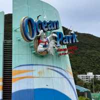 Ocean Park Hong Kong: Where Thrills Meet Marine Magic