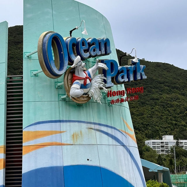Ocean Park Hong Kong: Where Thrills Meet Marine Magic