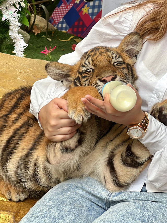 Amazing place for animal lovers🦒💛