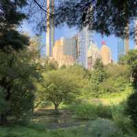 Urban Oasis: A Perfect Day in Central Park