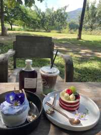 Fernpresso at Lake คาเฟ่ติดทะเลสาบในเชียงใหม่