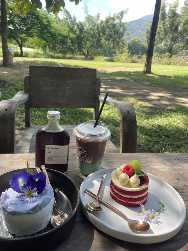 Fernpresso at Lake คาเฟ่ติดทะเลสาบในเชียงใหม่