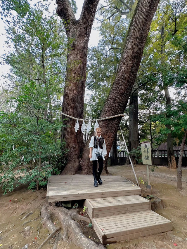 【大宮】最強パワースポットの宝庫📍大宮 氷川神社⛩️縁結びや商売繁盛にもオススメ💓可愛いスポットも🈶