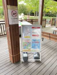 【淡路島】足漕ぎスワンボート