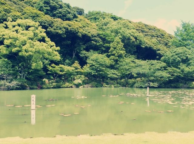 九州北環之旅：第一回～悠閒的別府溫泉小鎮♨️