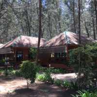 A Sanctuary of Serenity Resort