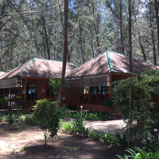 A Sanctuary of Serenity Resort