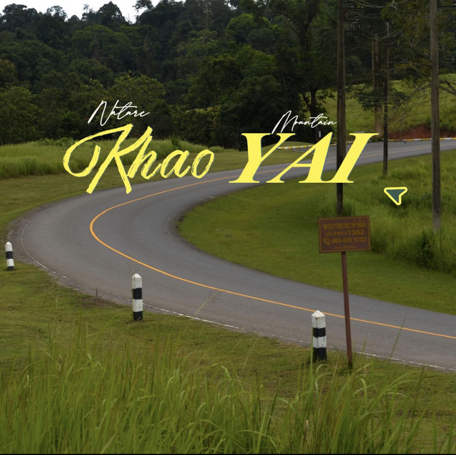 ⛰️1 วันเที่ยวบนเขาใหญ่ ⛰️