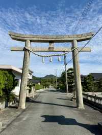 【山口県】日本鶏 黒柏発祥の地