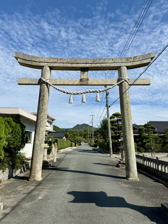 【山口県】日本鶏 黒柏発祥の地