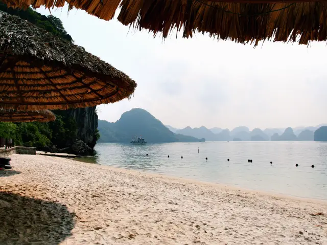 나트랑 화란섬 호핑 투어