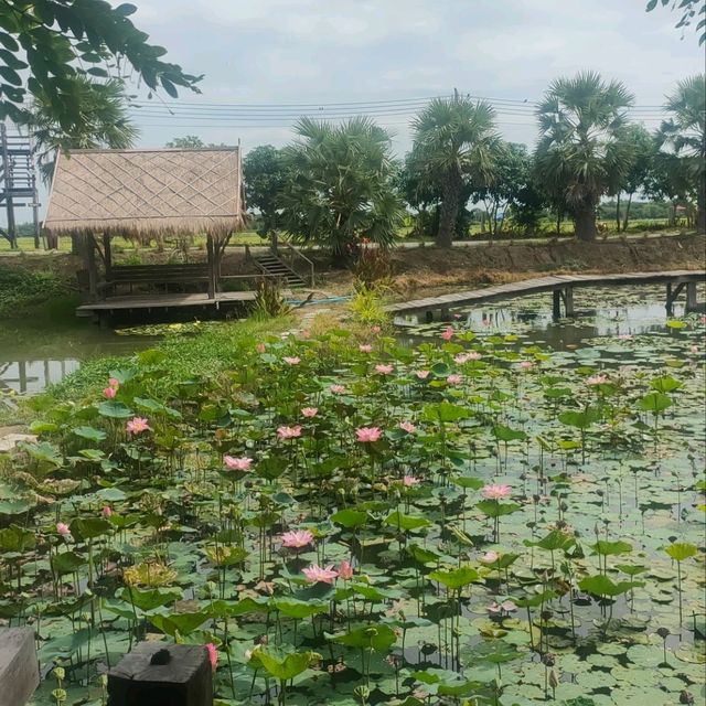 บ้านพาทิศ
