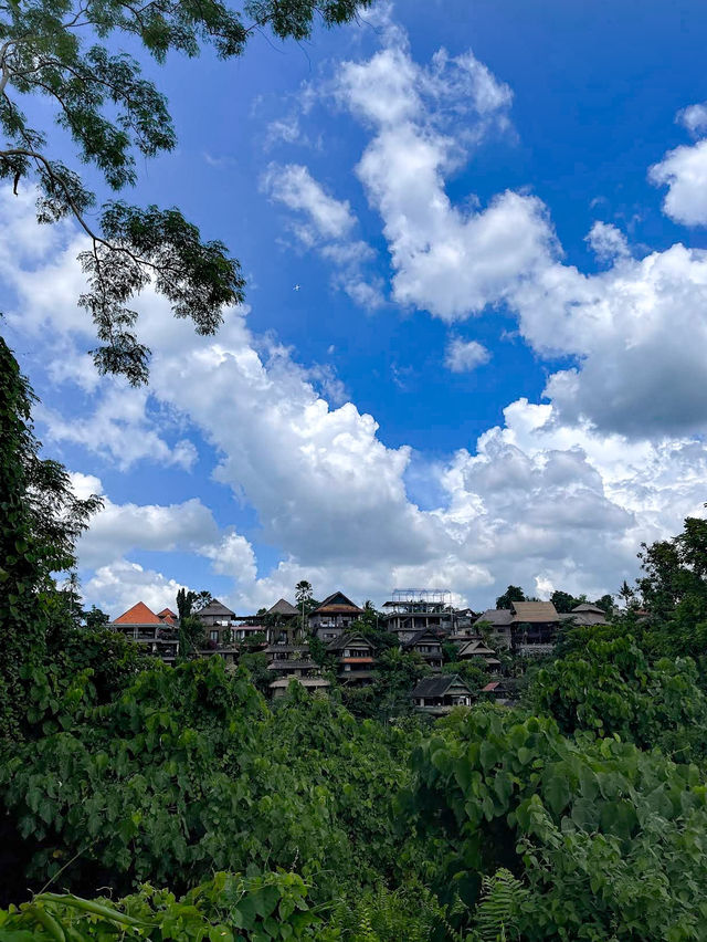 Tranquil Trails at Campuhan Ridge Walk