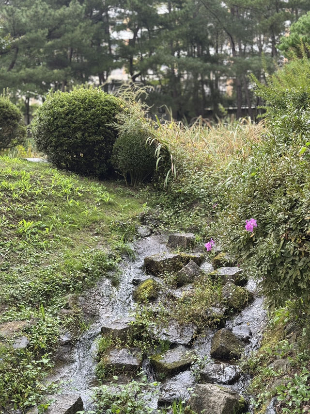 운치있는 경주의 숨은 보물 보문정