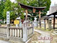 【長野県】善光寺の注連縄などを焼いていた神社