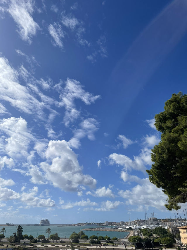 【スペイン/マヨルカ島】ヨーロッパのリゾート地に行ってみた！🏝️🌺ば