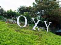 OXY Resort