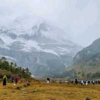 Lost in yading