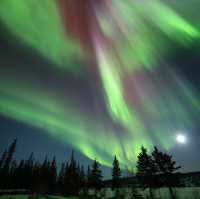 ซักหนึ่งครั้งที่ Yellowknife 