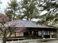 🏯名古屋城：歷史與壯麗的古代城堡之旅