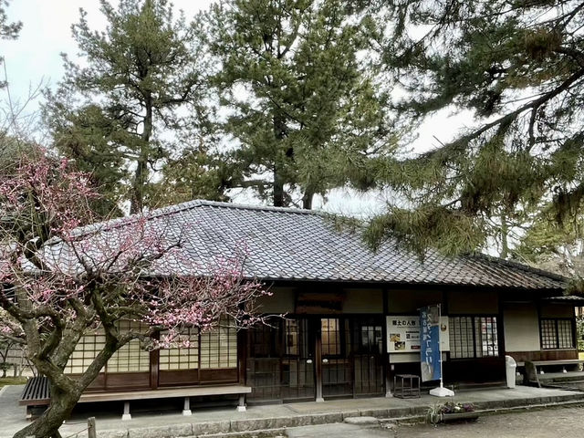 🏯名古屋城：歷史與壯麗的古代城堡之旅