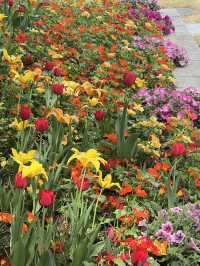 สวน byukchoji ที่พาจู