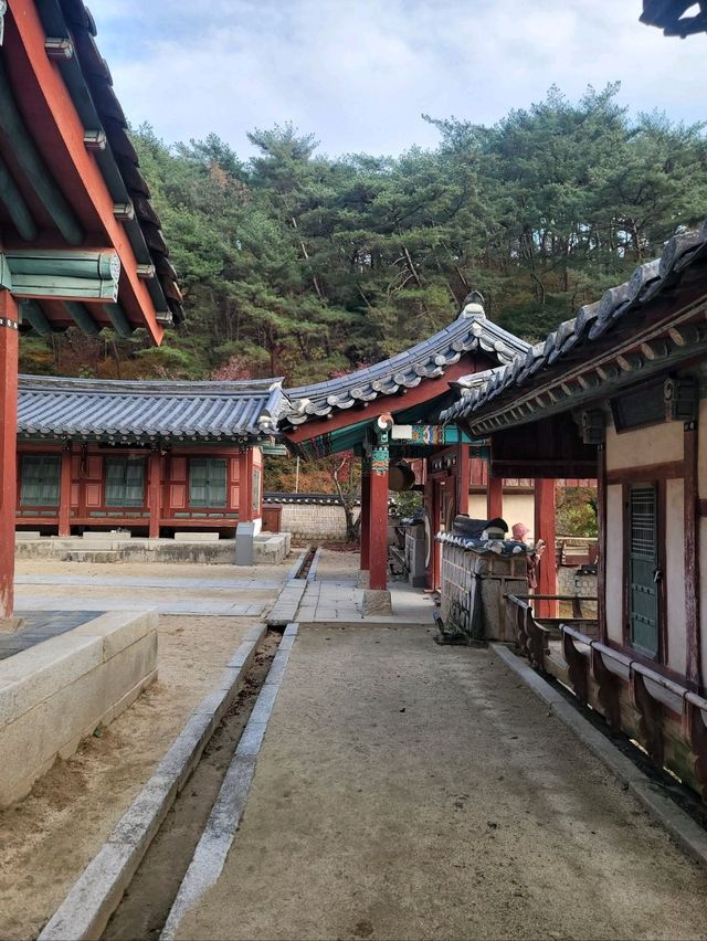가을에 꼭 가봐야할 안동의 대표적인 문화유산🤎