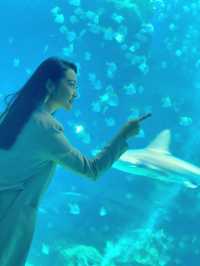 人氣No.1桃園Xpark🐳 科技結合水族館超好玩！