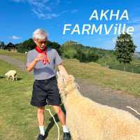 🐑 แอ่วเชียงราย Akha Farmviile 