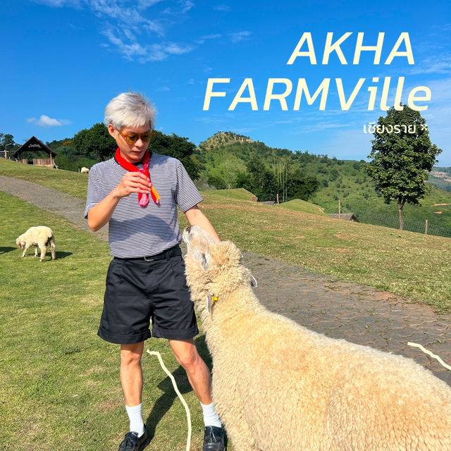 🐑 แอ่วเชียงราย Akha Farmviile 