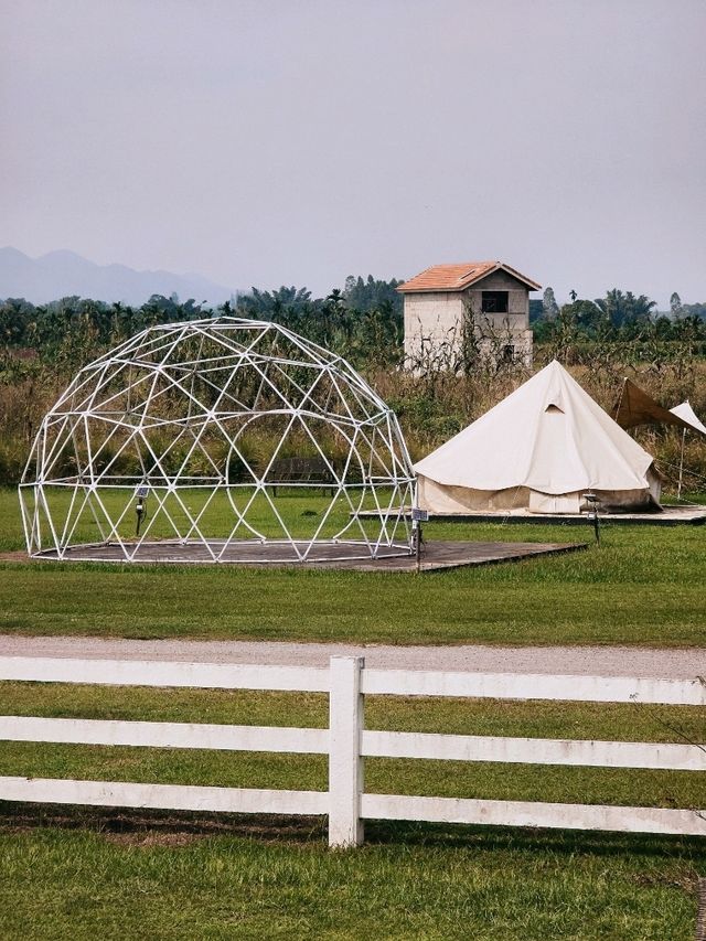 The Camping Field Cafe'