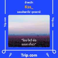 มาแอ่วเหนือที่ ภูชี้ฟ้า ⛅️⛰️ จังหวัดเชียงรายกันจ้า