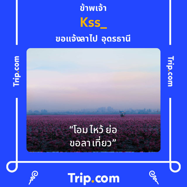 มาแอ่วเหนือที่ ภูชี้ฟ้า ⛅️⛰️ จังหวัดเชียงรายกันจ้า