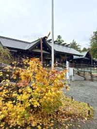 北海道　札幌観光　北海道神宮2024 紅葉の神宮を散策してみた！