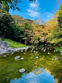 景點推薦：小石川後樂園——初秋東京的靜謐綠洲